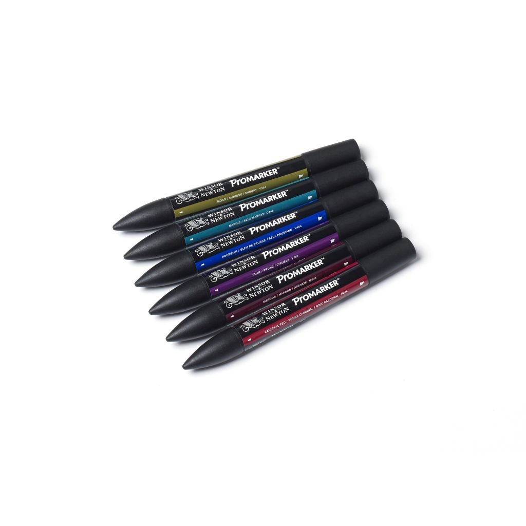 Winsor & Newton ProMarker - Twin Tip - Alcohol Based - Rich Tones Set of 6