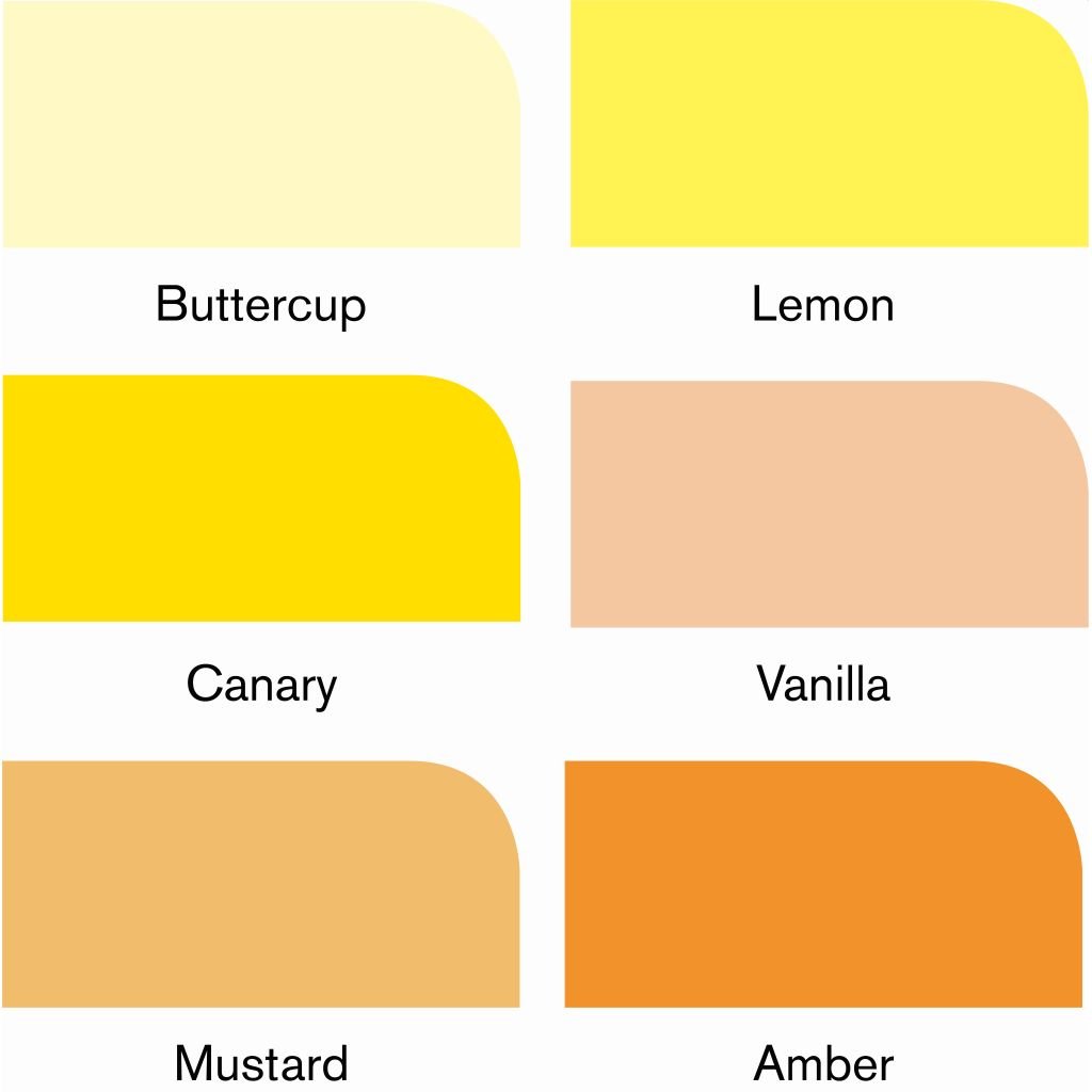 Winsor & Newton ProMarker - Twin Tip - Alcohol Based - Yellow Tones Set of 6
