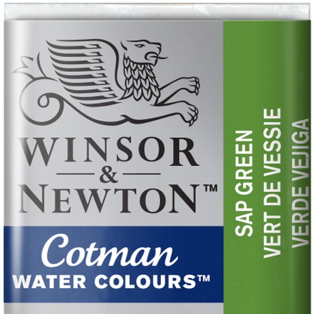 Winsor & Newton Cotman Water Colour Half Pan - Sap Green (599)