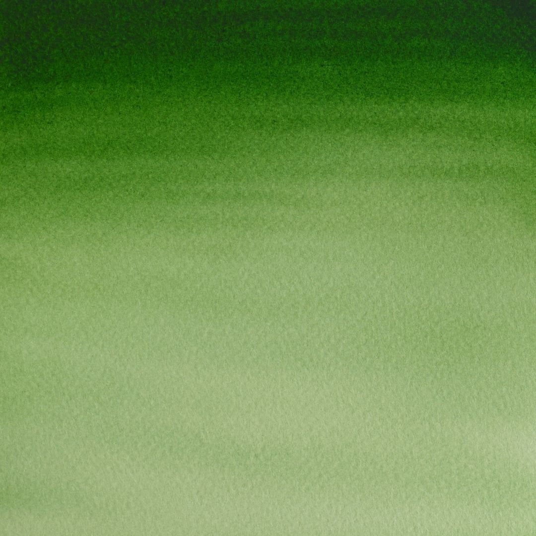 Winsor & Newton Cotman Water Colour - Tube of 8 ML - Hooker's Green Light (314)