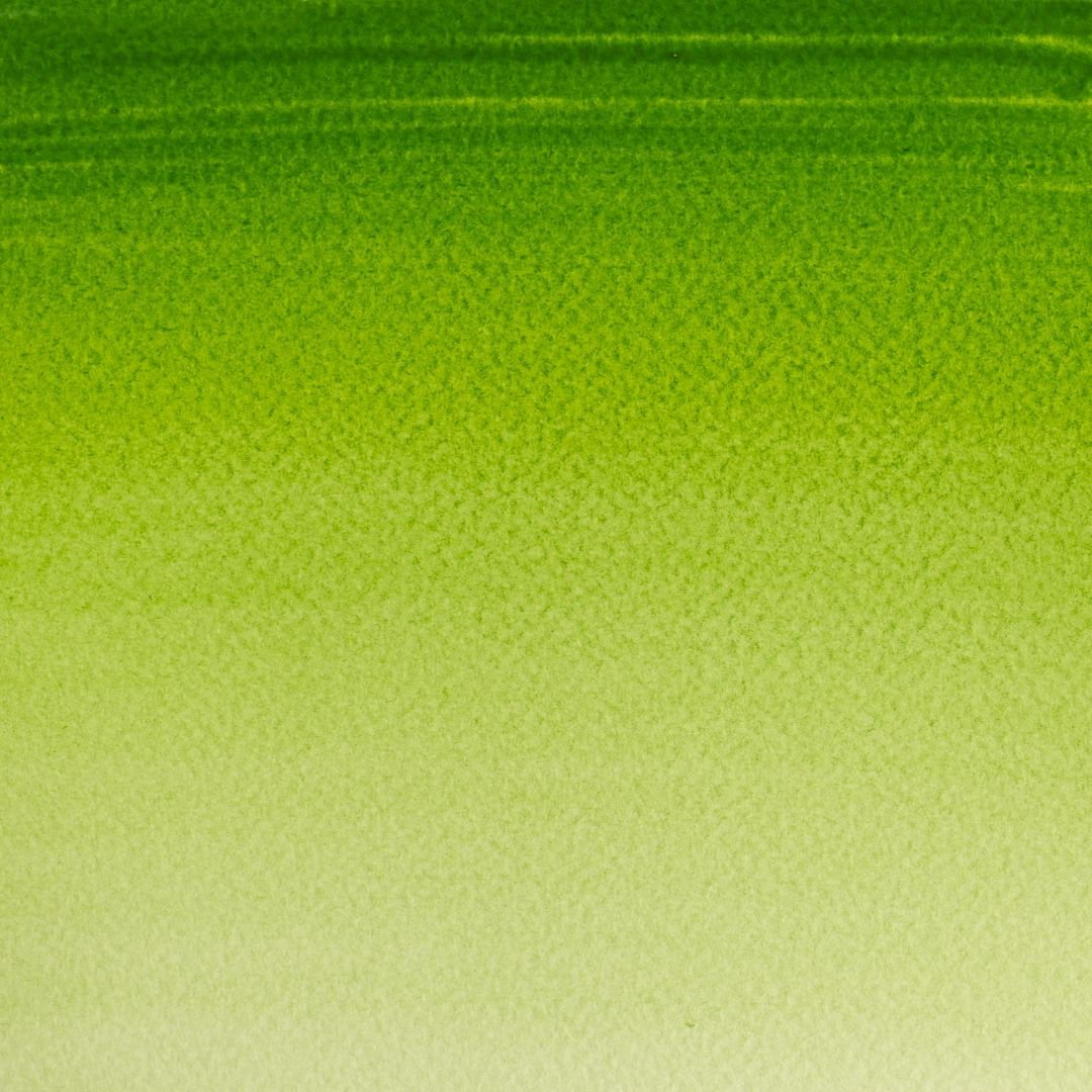 Winsor & Newton Cotman Water Colour - Tube of 8 ML - Sap Green (599)