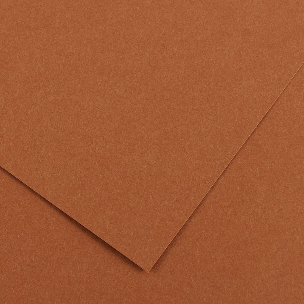 Canson Colorline Coloured Paper 50 cm x 65 cm or 19.68'' x 25.59'' Nut - Textured + Smooth 300 GSM - Pack of 10 Sheets