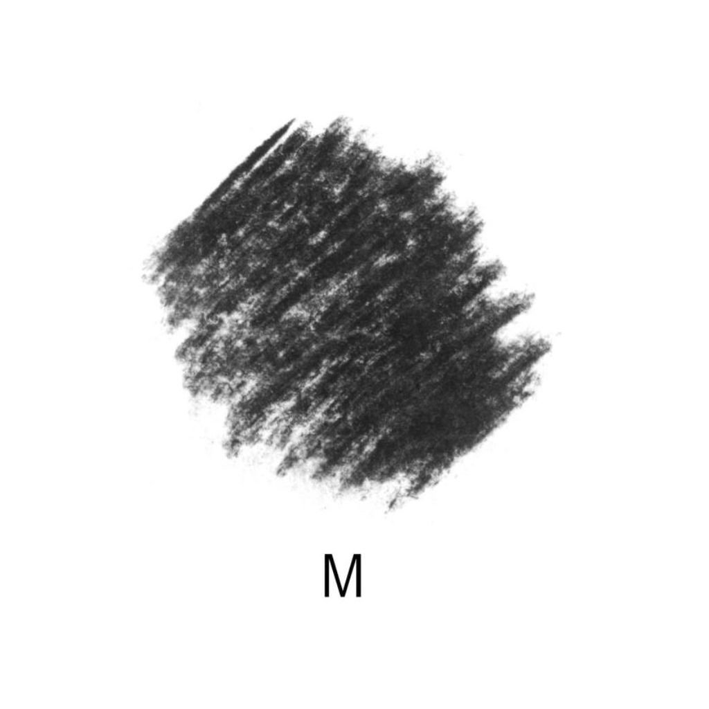 Staedtler Mars Lumograph 100C - Charcoal Pencil - Medium