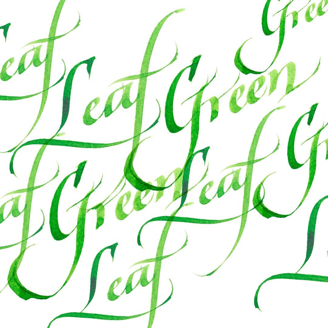 Winsor & Newton Calligraphy Ink - Bottle of 30 ML - Leaf Green (341)