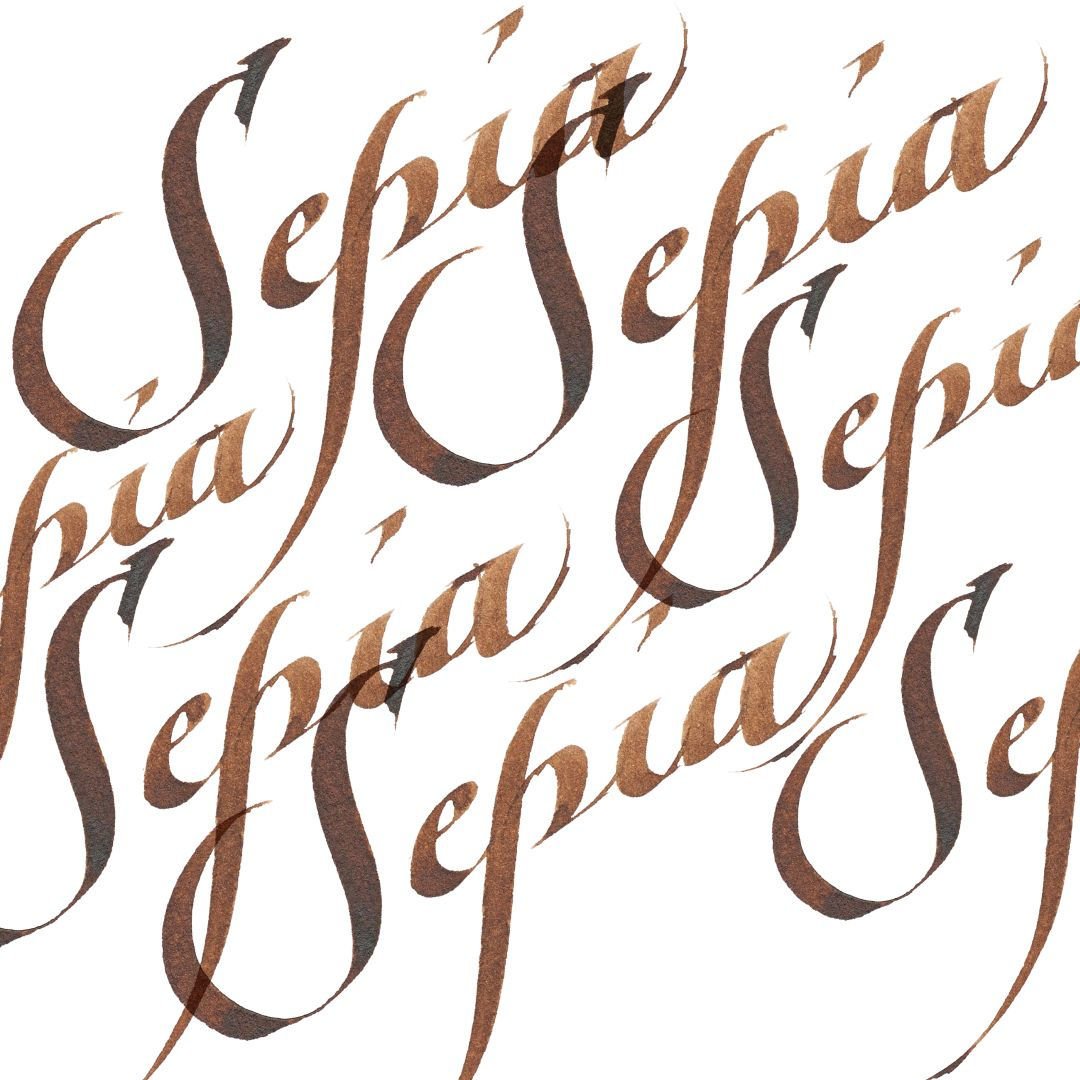 Winsor & Newton Calligraphy Ink - Bottle of 30 ML - Sepia (609)