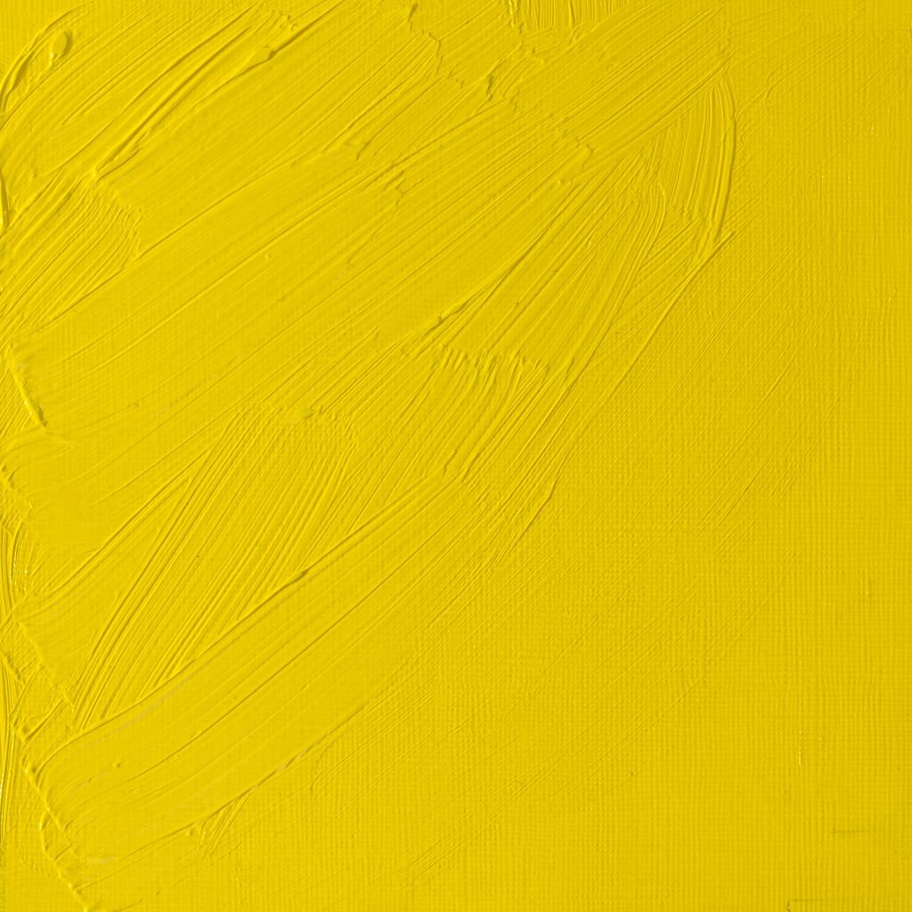 Winsor & Newton Artists' Oil Colour - Tube of 37 ML - Cadmium Lemon (086)