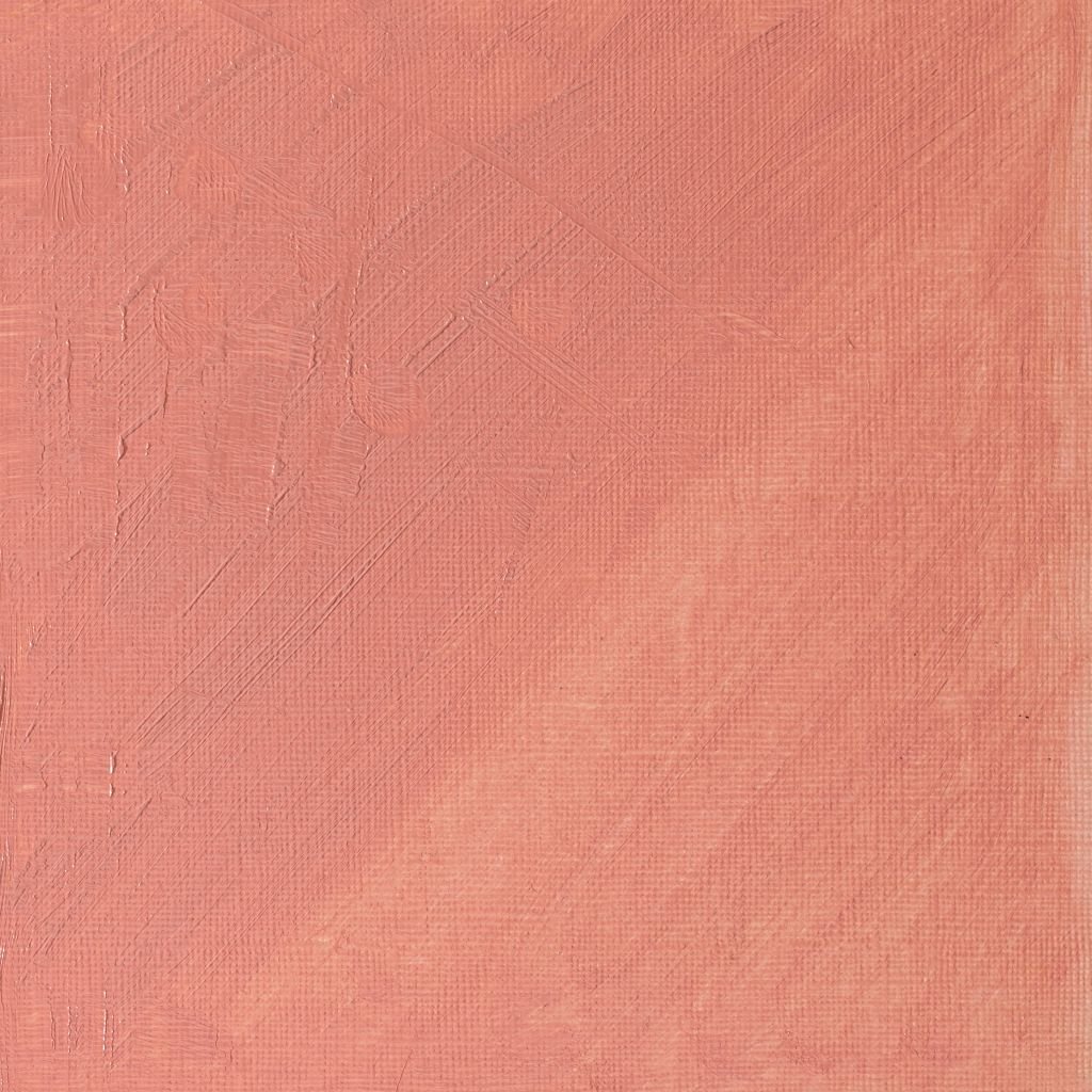 Winsor & Newton Artists' Oil Colour - Tube of 37 ML - Pale Rose Blush (257)