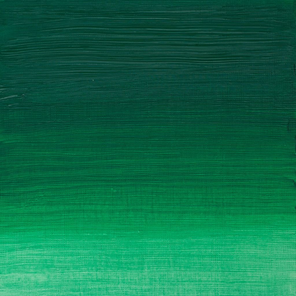 Winsor & Newton Artists' Oil Colour - Tube of 37 ML - Permanent Green (481)