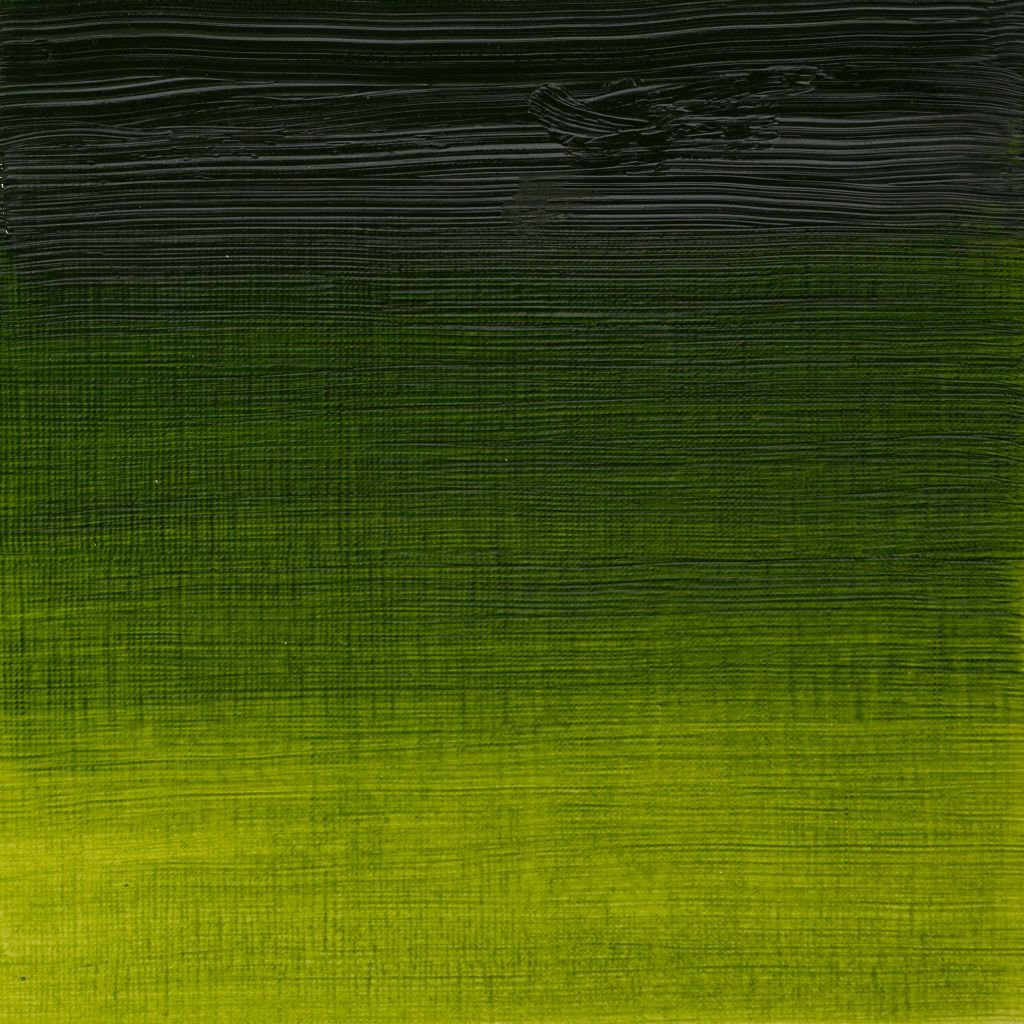 Winsor & Newton Artists' Oil Colour - Tube of 37 ML - Sap Green (599)
