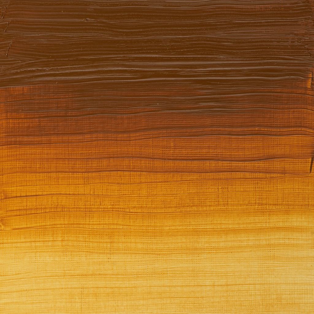 Winsor & Newton Artists' Oil Colour - Tube of 37 ML - Transparent Gold Ochre (646)