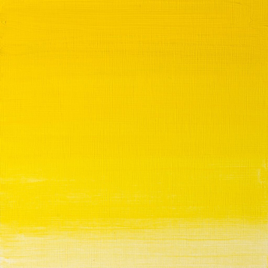 Winsor & Newton Artists' Oil Colour - Tube of 37 ML - Winsor Yellow (730)