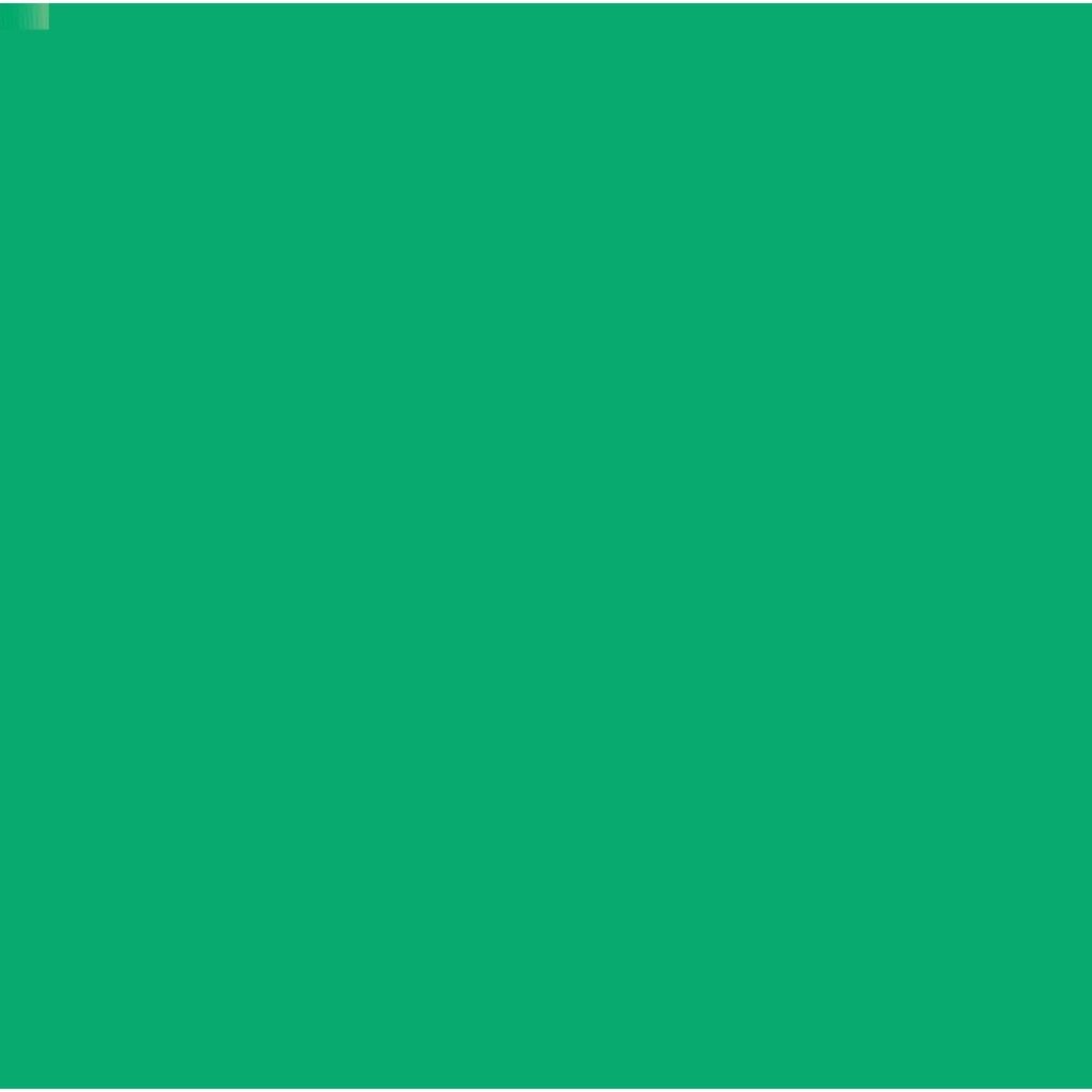Camel Artists' Water Colour - Emerald Green (117)  - 20 ML