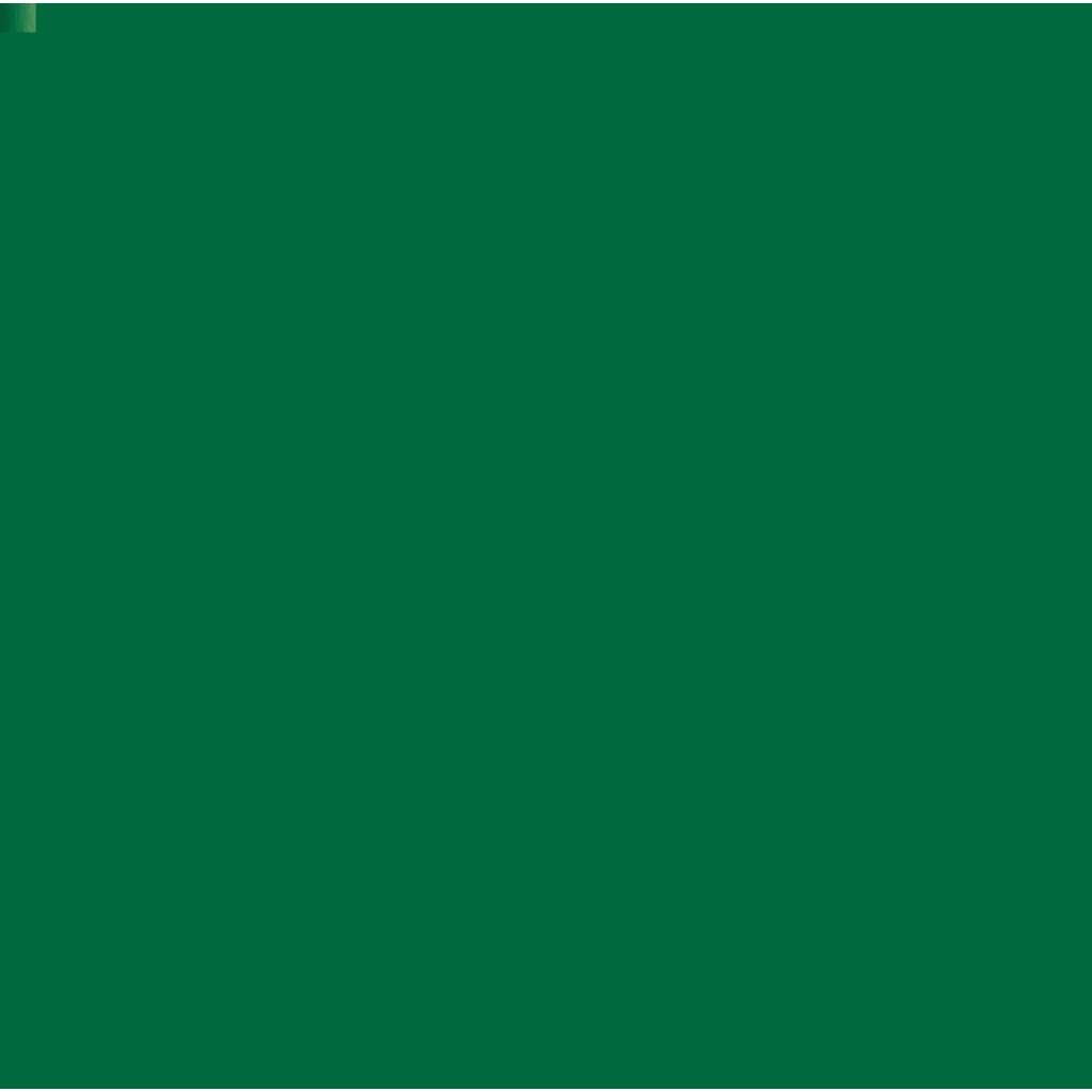 Camel Artists' Water Colour - Hooker's Green Deep (192)  - 20 ML