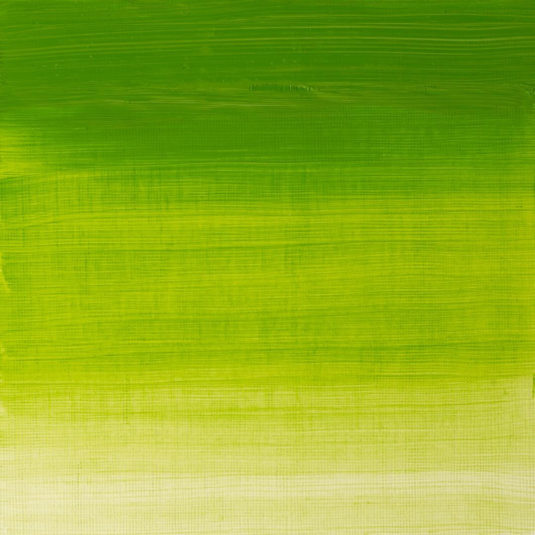 Winsor & Newton Winton Oil Colour - Tube of 37 ML - Chrome Green Hue (145)