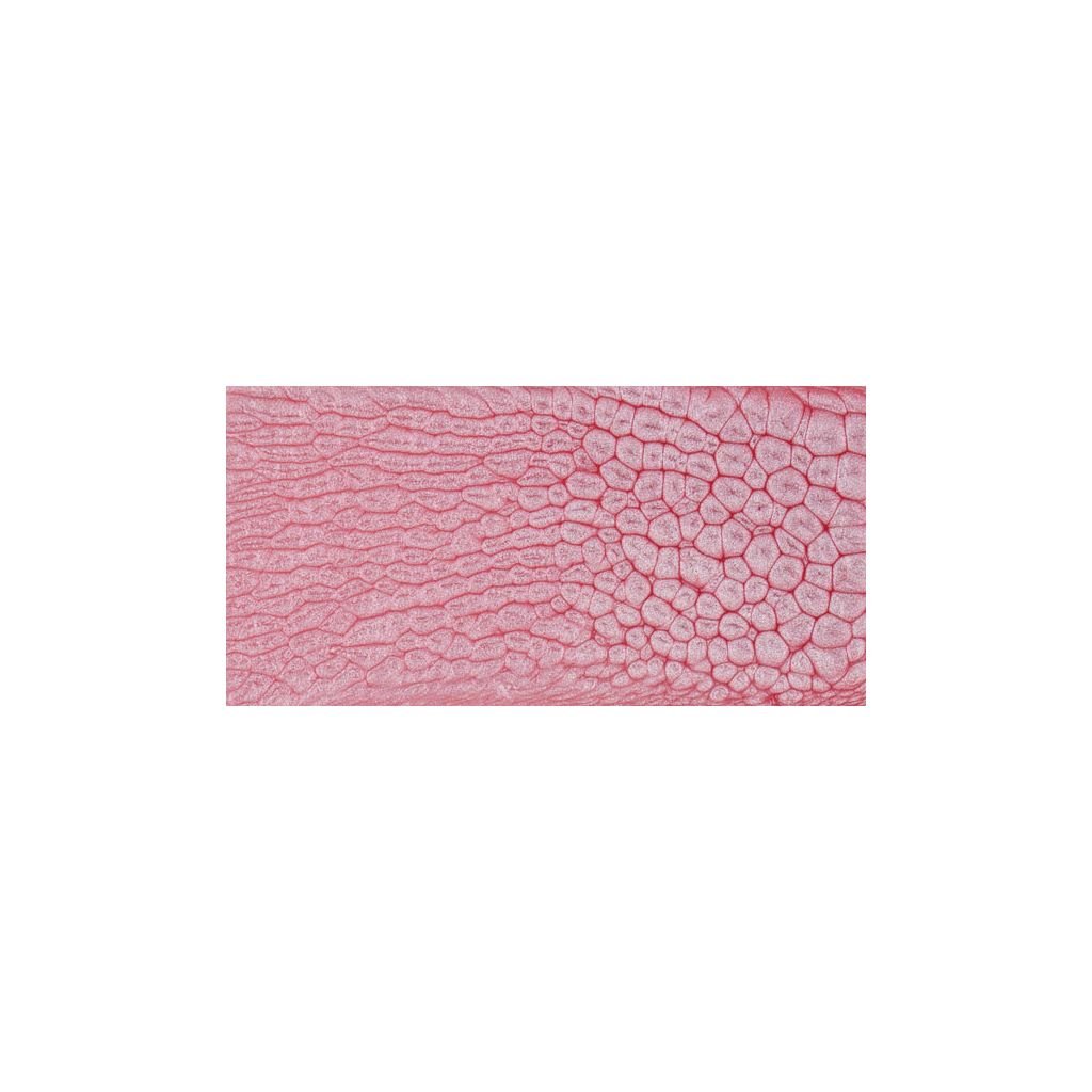 Pebeo Fantasy Prisme Paint - 45 ML Bottle - Icy Pink (21)