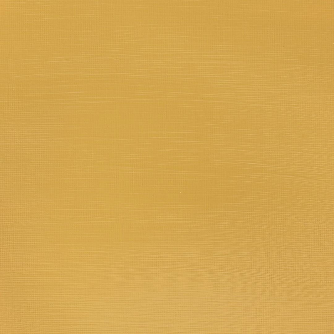 Winsor & Newton Galeria Acrylic Colour - Tube of 60 ML - Naples Yellow (422)