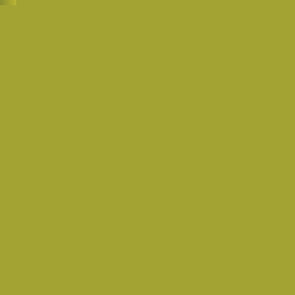 Camel Fabrica Acrylic Colour (Ultra Range) - Olive Green (281) - Bottle of 15 ML