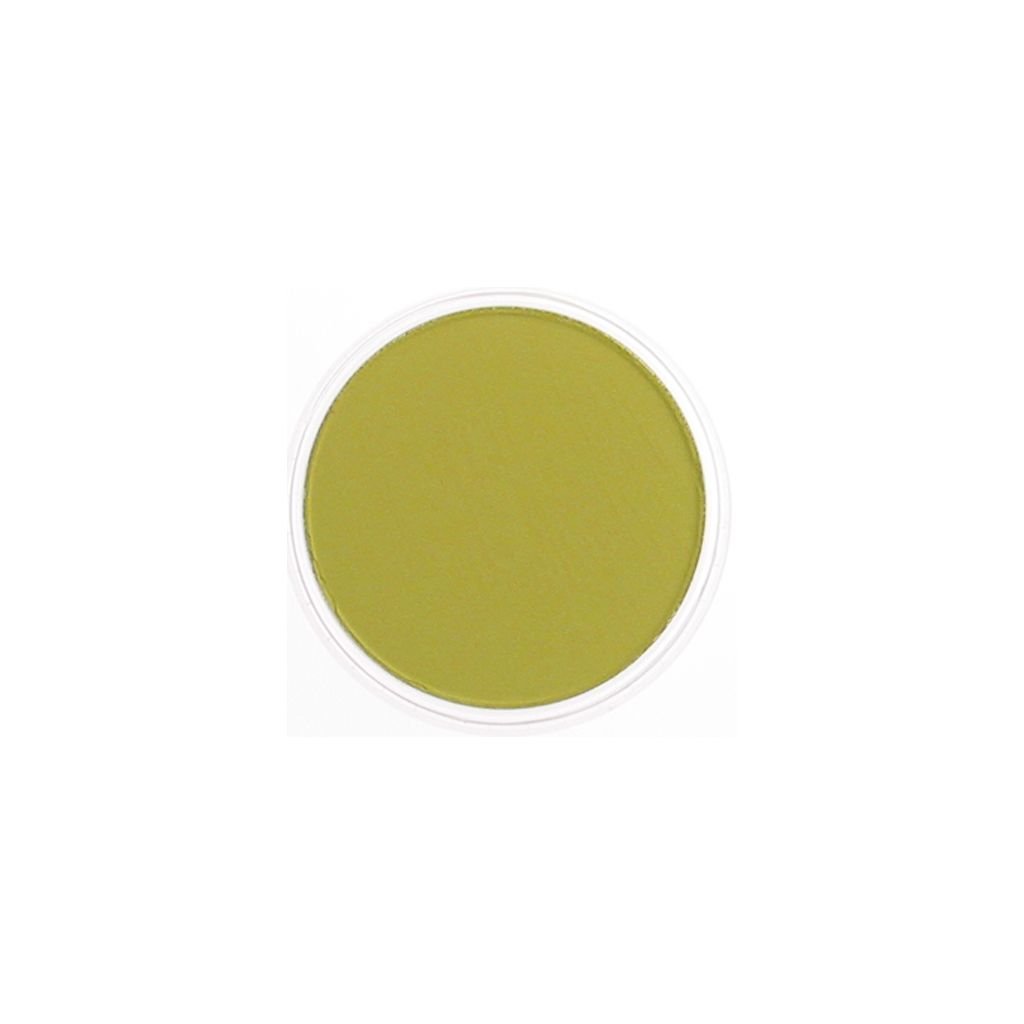 PanPastel Colors Ultra Soft Artist's Painting Pastel, Hansa Yellow Shade (220.3)