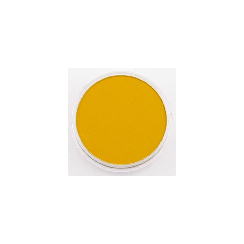 PanPastel Colors Ultra Soft Artist's Painting Pastel, Diarylide Yellow Shade (250.3)