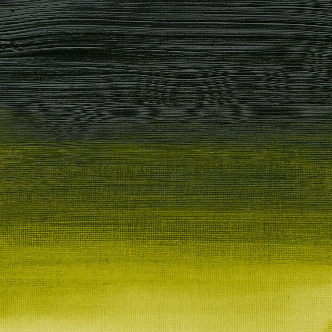 Winsor & Newton Professional Acrylic Colour - Tube of 200 ML - Permanent Sap Green (503)