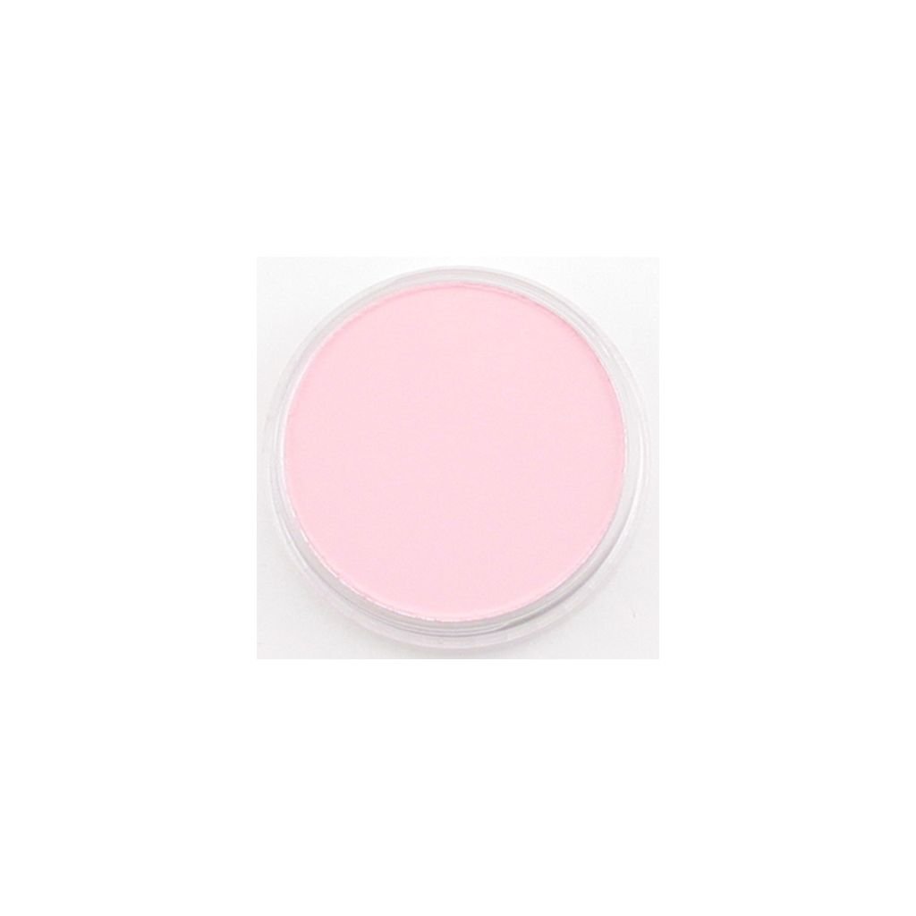 PanPastel Colors Ultra Soft Artist's Painting Pastel, Permanent Red Tint (340.8)
