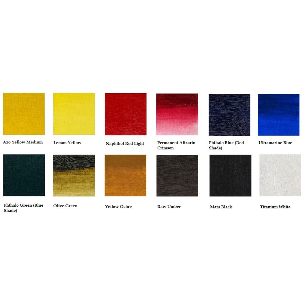 Winsor & Newton Professional Acrylic Colour Set of 12 Tubes x 20 ML