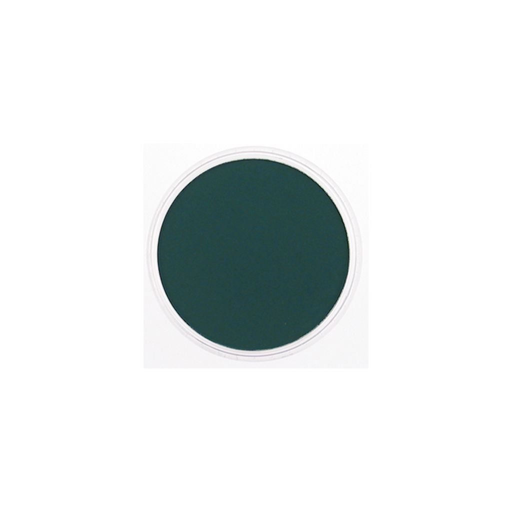 PanPastel Colors Ultra Soft Artist's Painting Pastel, Phthalo Green Extra Dark (620.1)