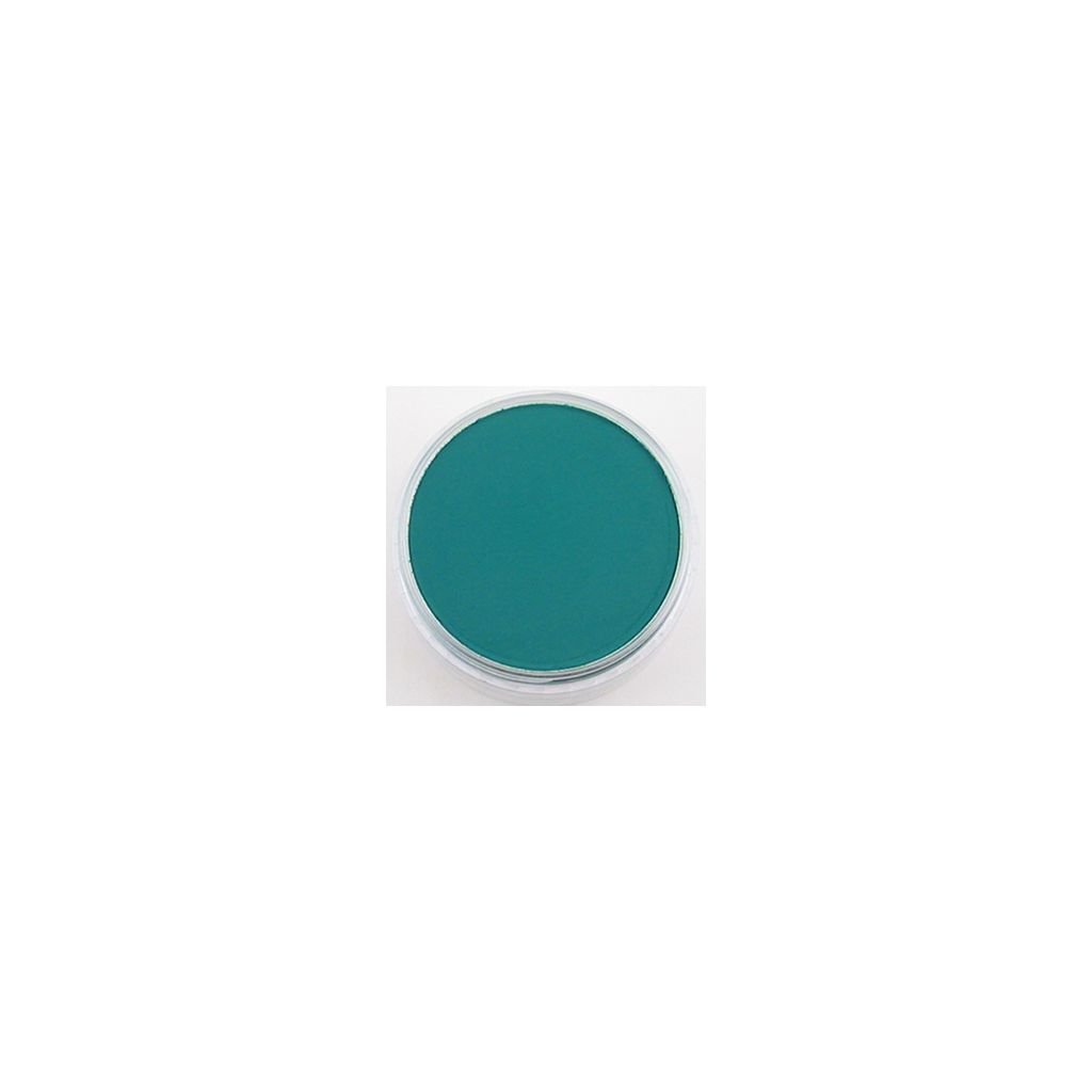 PanPastel Colors Ultra Soft Artist's Painting Pastel, Phthalo Green Shade (620.3)