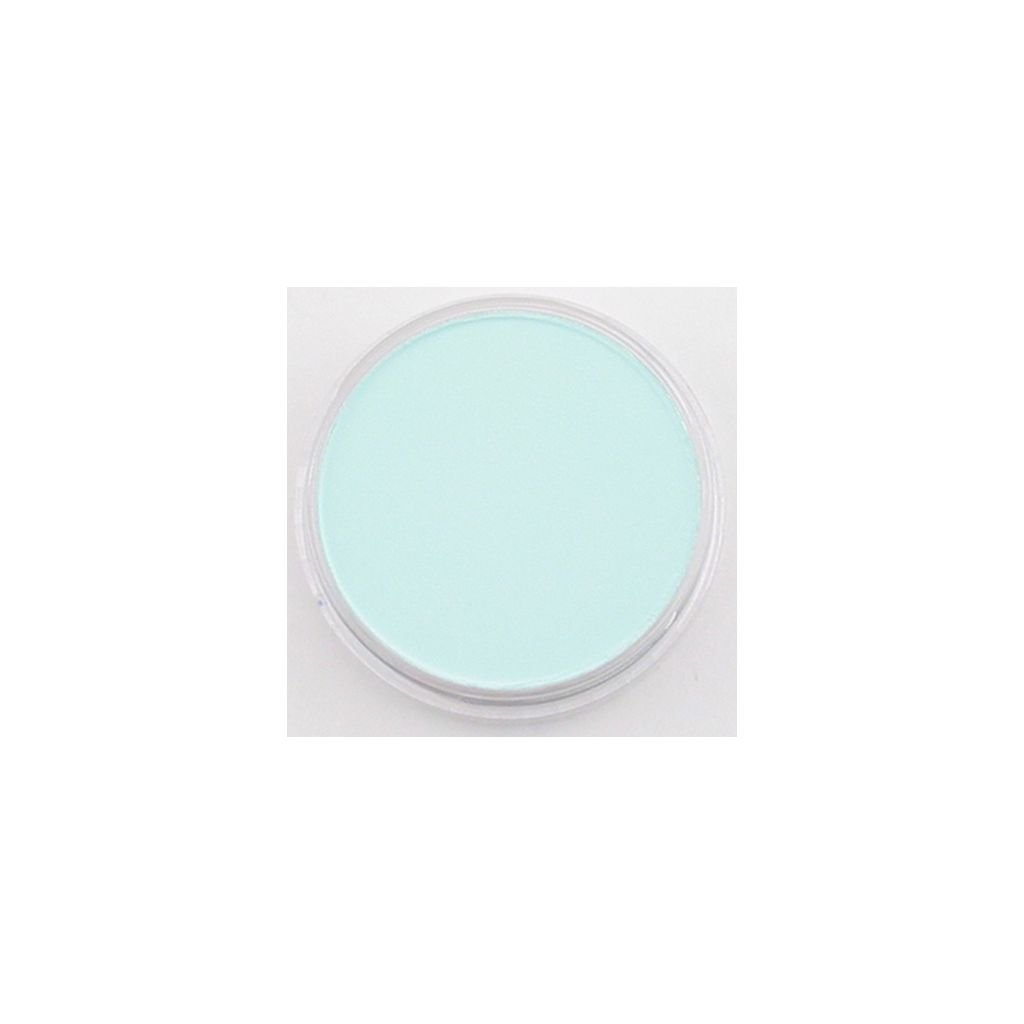 PanPastel Colors Ultra Soft Artist's Painting Pastel, Phthalo Green Tint (620.8)