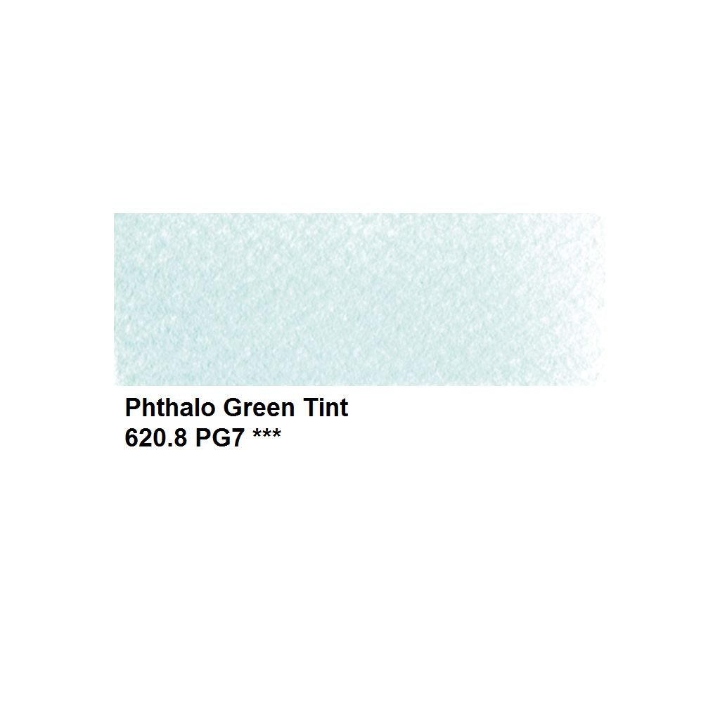 PanPastel Colors Ultra Soft Artist's Painting Pastel, Phthalo Green Tint (620.8)