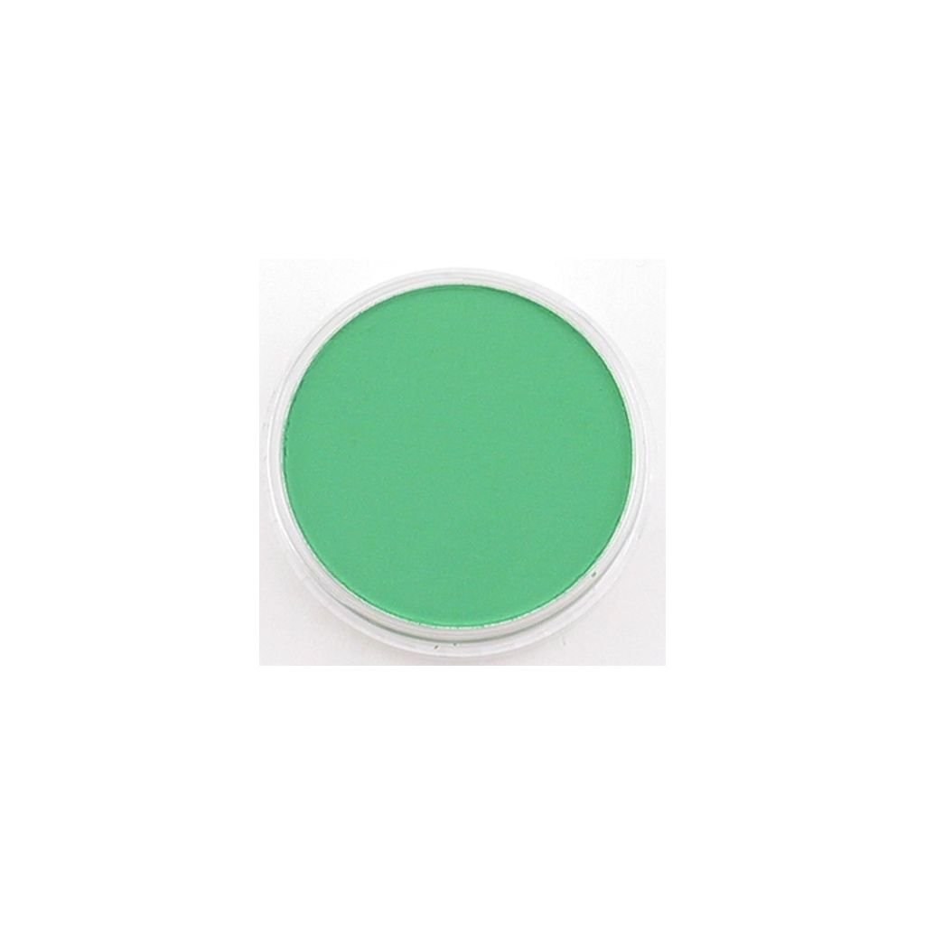 PanPastel Colors Ultra Soft Artist's Painting Pastel, Permanent Green (640.5)