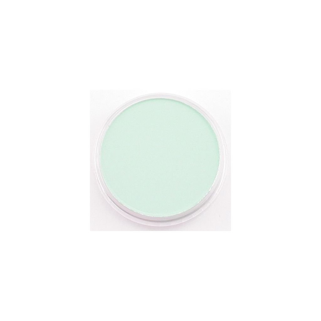 PanPastel Colors Ultra Soft Artist's Painting Pastel, Permanent Green Tint (640.8)