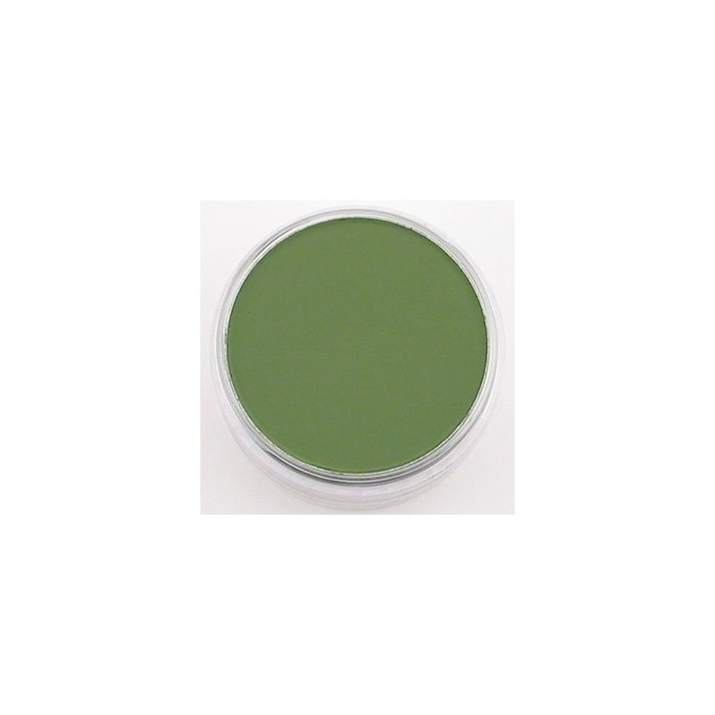 PanPastel Colors Ultra Soft Artist's Painting Pastel, Chromium Oxide Green Shade (660.3)