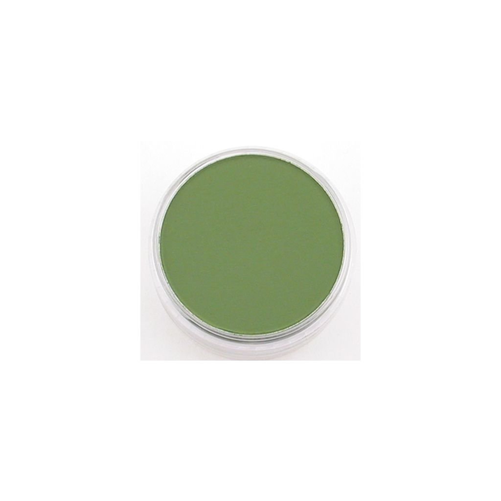 PanPastel Colors Ultra Soft Artist's Painting Pastel, Chromium Oxide Green (660.5)