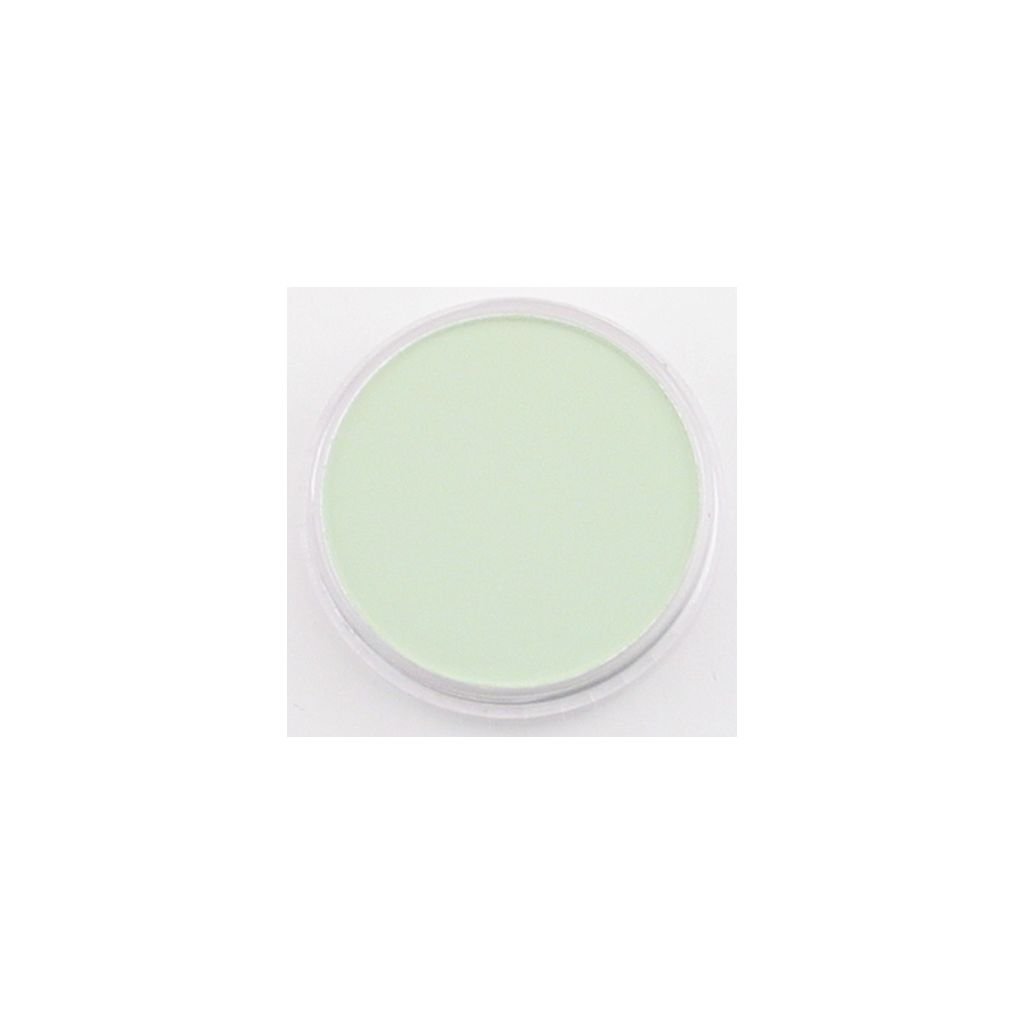 PanPastel Colors Ultra Soft Artist's Painting Pastel, Chromium Oxide Green Tint (660.8)