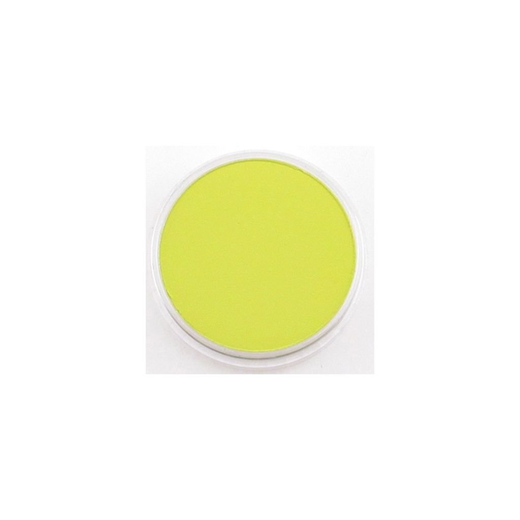 PanPastel Colors Ultra Soft Artist's Painting Pastel, Bright Yellow Green (680.5)