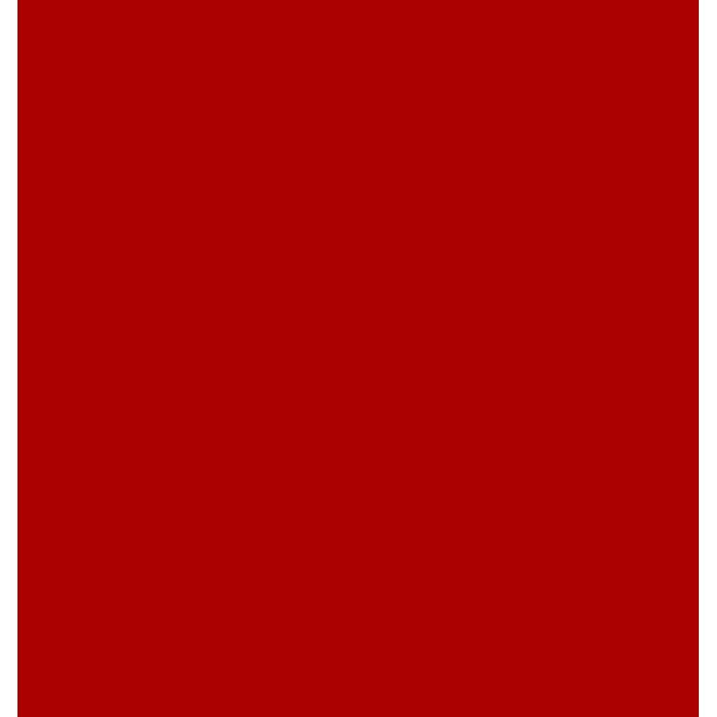Camel Heavy Body Acrylic Paint - Cadmium Red Medium Hue (037) - Tube of 40 ML
