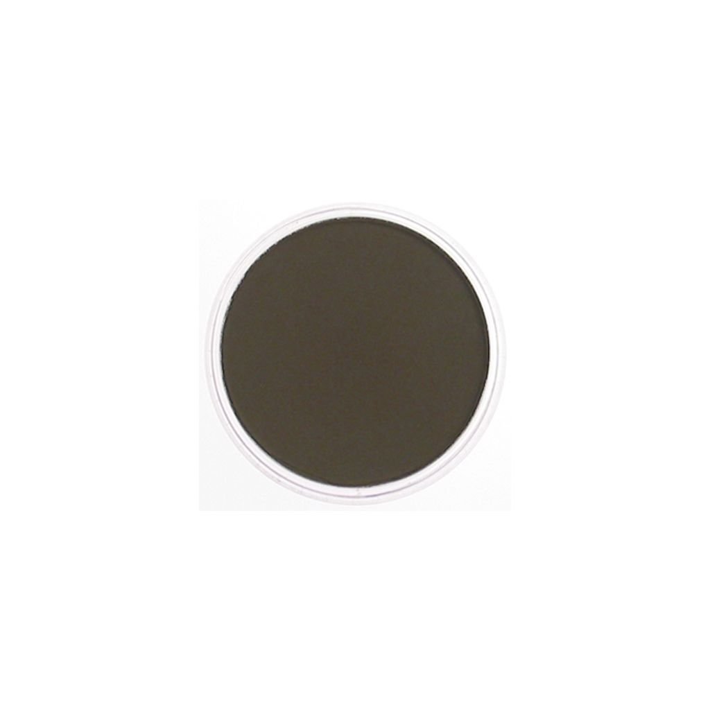 PanPastel Colors Ultra Soft Artist's Painting Pastel, Raw Umber Shade (780.3)