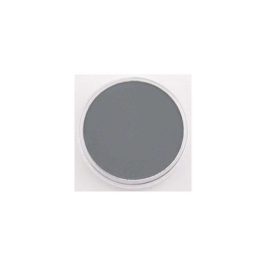 PanPastel Colors Ultra Soft Artist's Painting Pastel, Neutral Grey Shade (820.3)