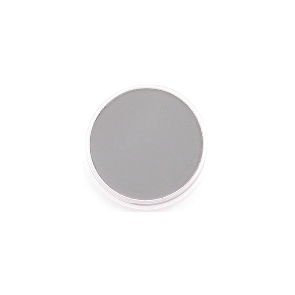PanPastel Colors Ultra Soft Artist's Painting Pastel, Neutral Grey (820.5)
