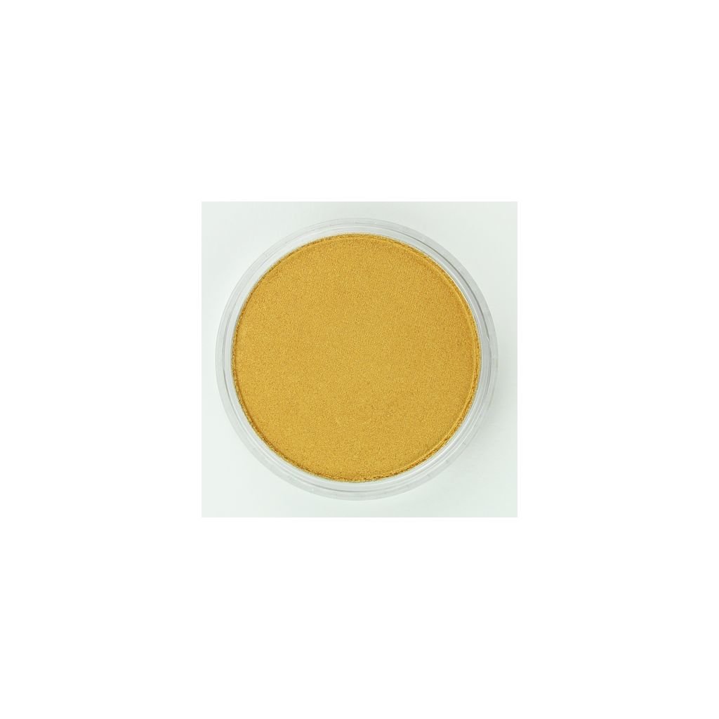 PanPastel Colors Ultra Soft Artist's Painting Pastel, Rich Gold (911.5)