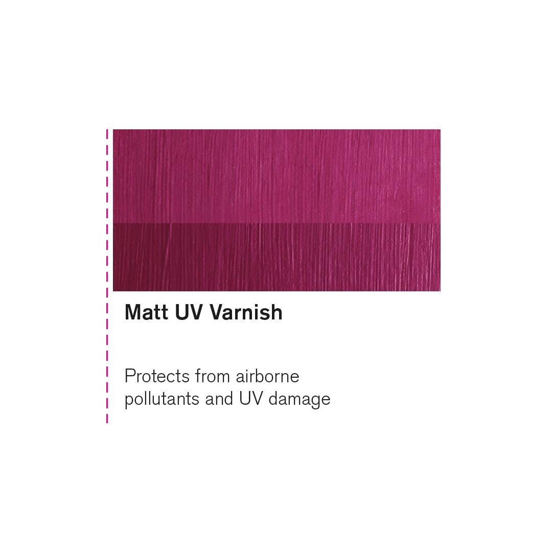 Winsor & Newton Professional Acrylic - Matt UV Varnish - Jar of 225 ML