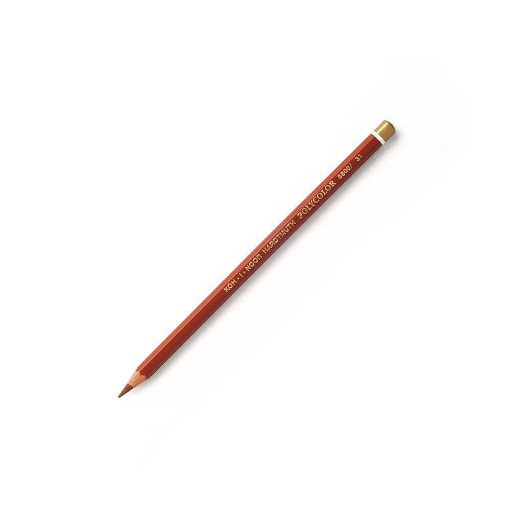 Koh-I-Noor Polycolor Artist's Coloured Pencil - Light Brown (31)