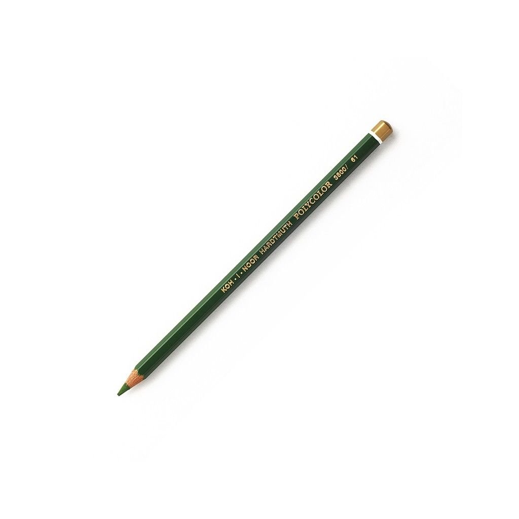 Koh-I-Noor Polycolor Artist's Coloured Pencil - Sap Green (61)