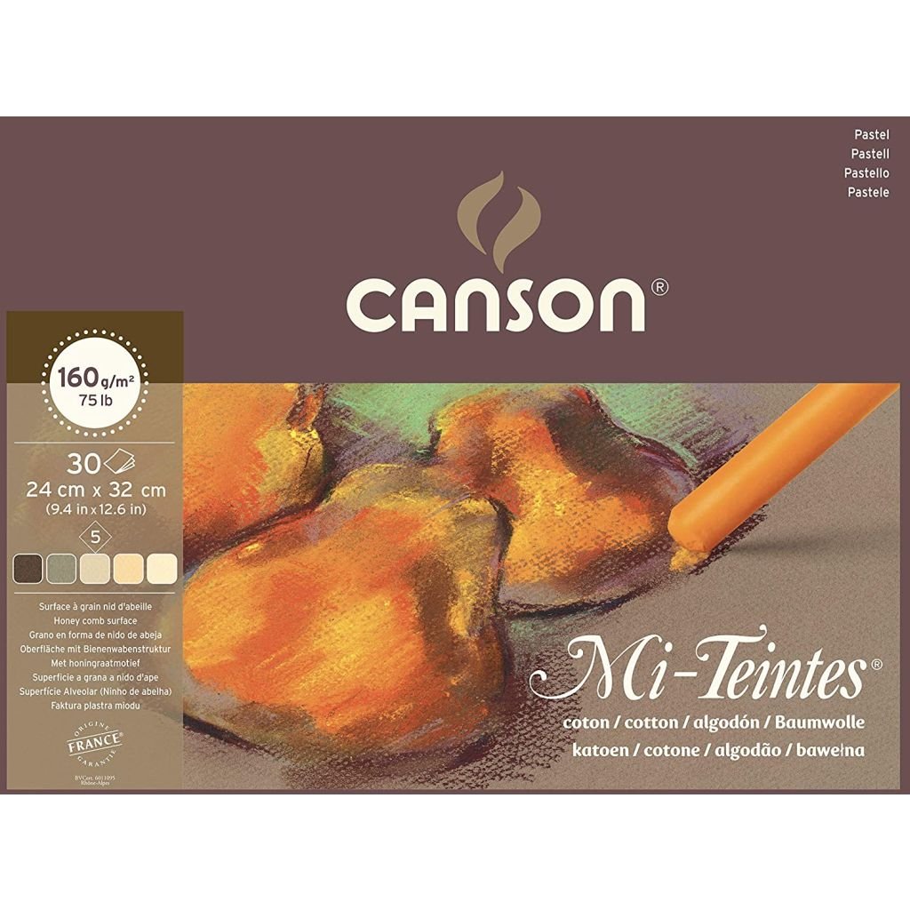 Canson Mi-Teintes Pastel Paper - Honeycomb + Fine Grain 160 GSM - Assorted Earth Tones - 24 x 32 cm or 9.4 x 12.6'' Pad - 30 Sheets