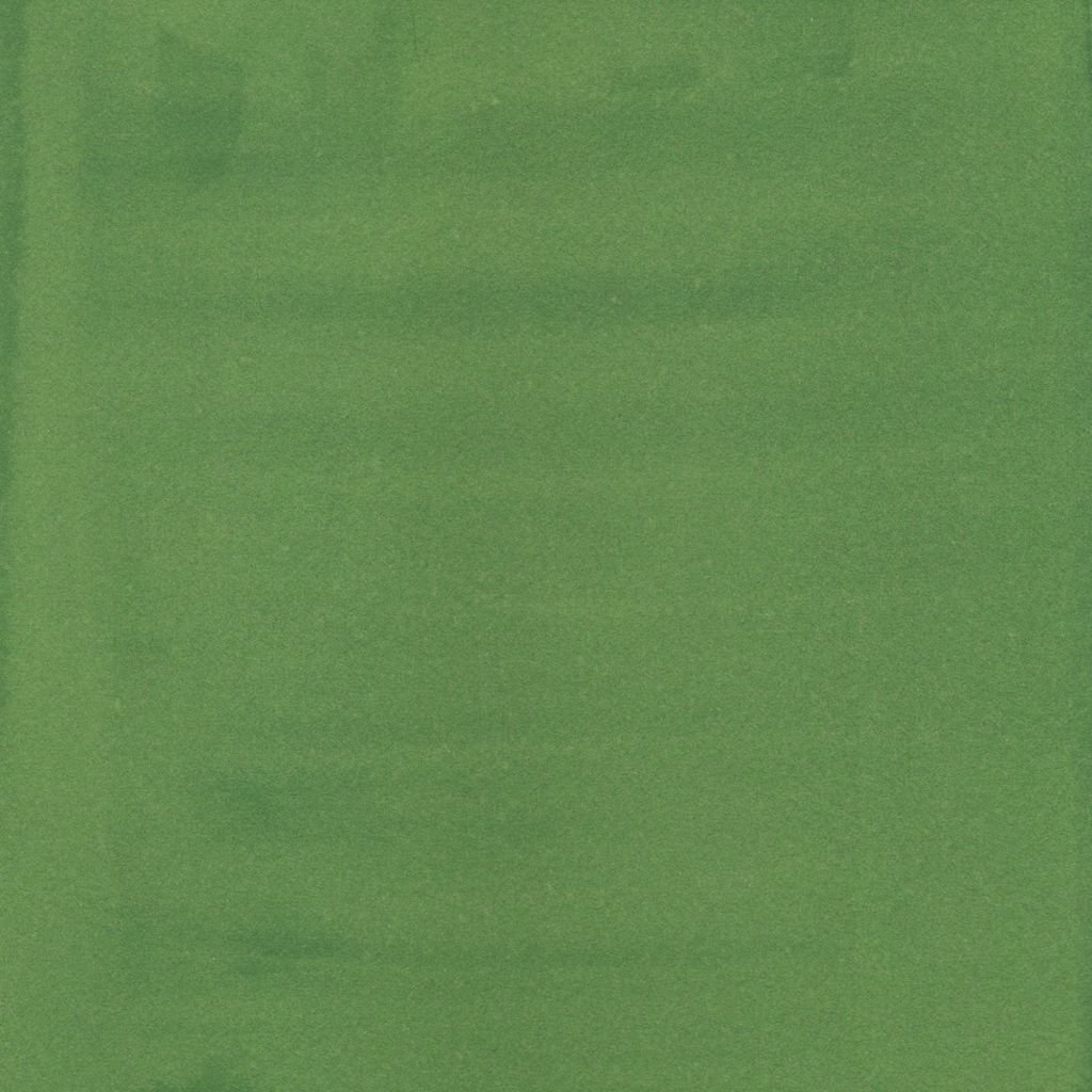 Liquitex Professional Acrylic Ink - Hooker's Green Hue Permanent (224) - Bottle of 30 ML