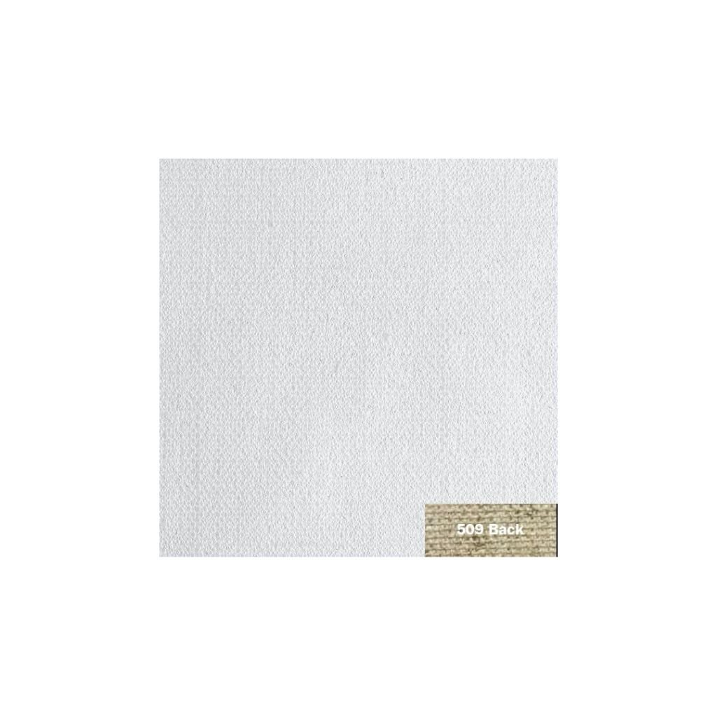 Art Essentials Primed Artists' Linen Canvas Roll - 509 Series - Medium Grain - 430 GSM / 15 Oz - 150 cm by 10 Metres OR 59.06'' by 32.8 Feet