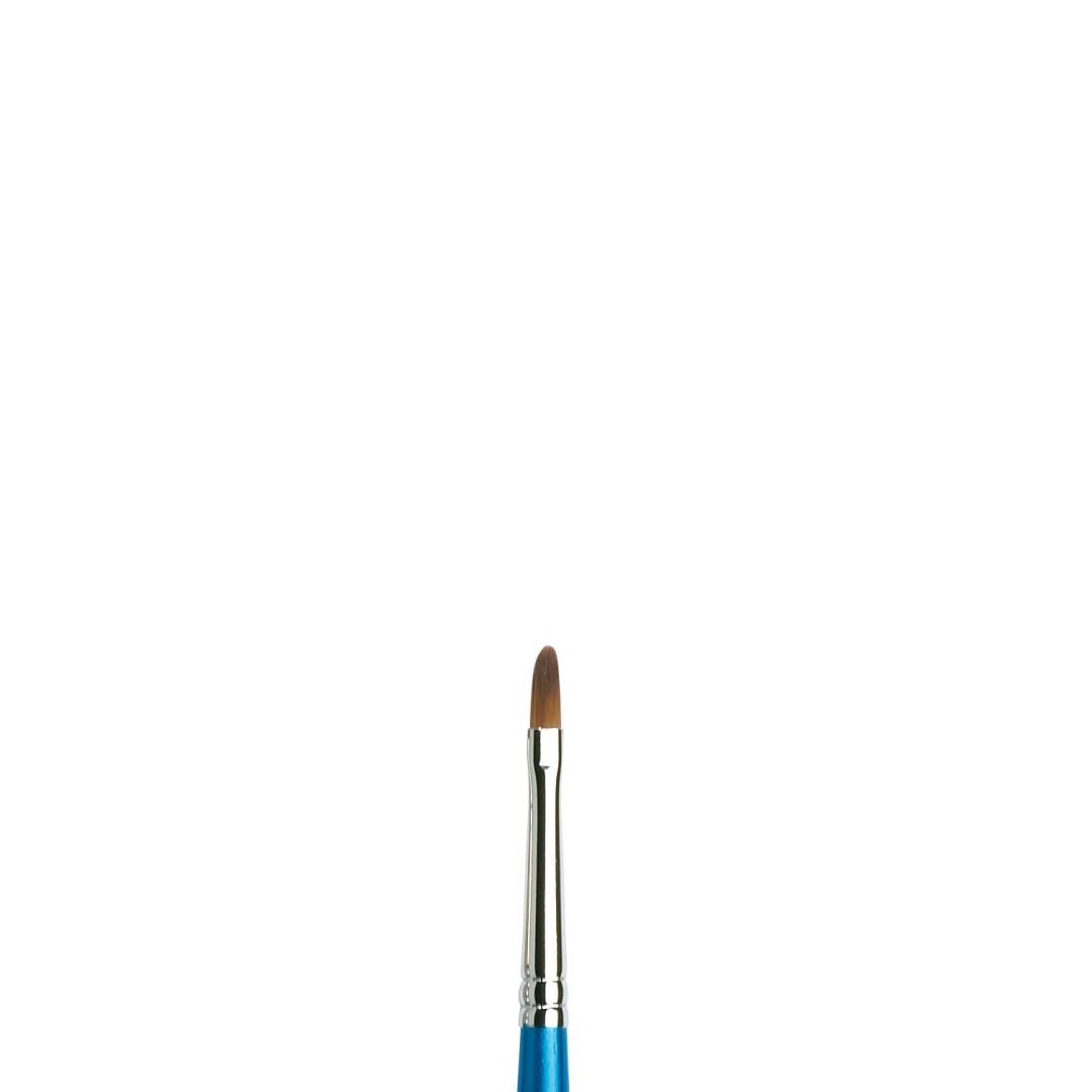 Winsor & Newton Cotman Watercolour Synthetic Hair Brush - Series 668 - Filbert - Short Handle - Size - 1/8