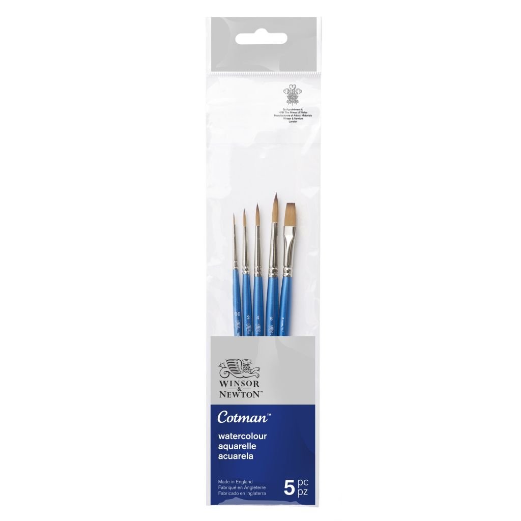 Winsor & Newton Cotman Watercolour Synthetic Hair Brush - Assorted Set - Short Handle - Pack of 5