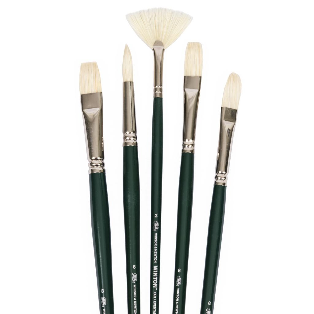 Winsor & Newton Winton Hog Bristle Brush - Assorted Set- Long Handle - Pack of 5